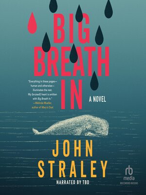 cover image of Big Breath In